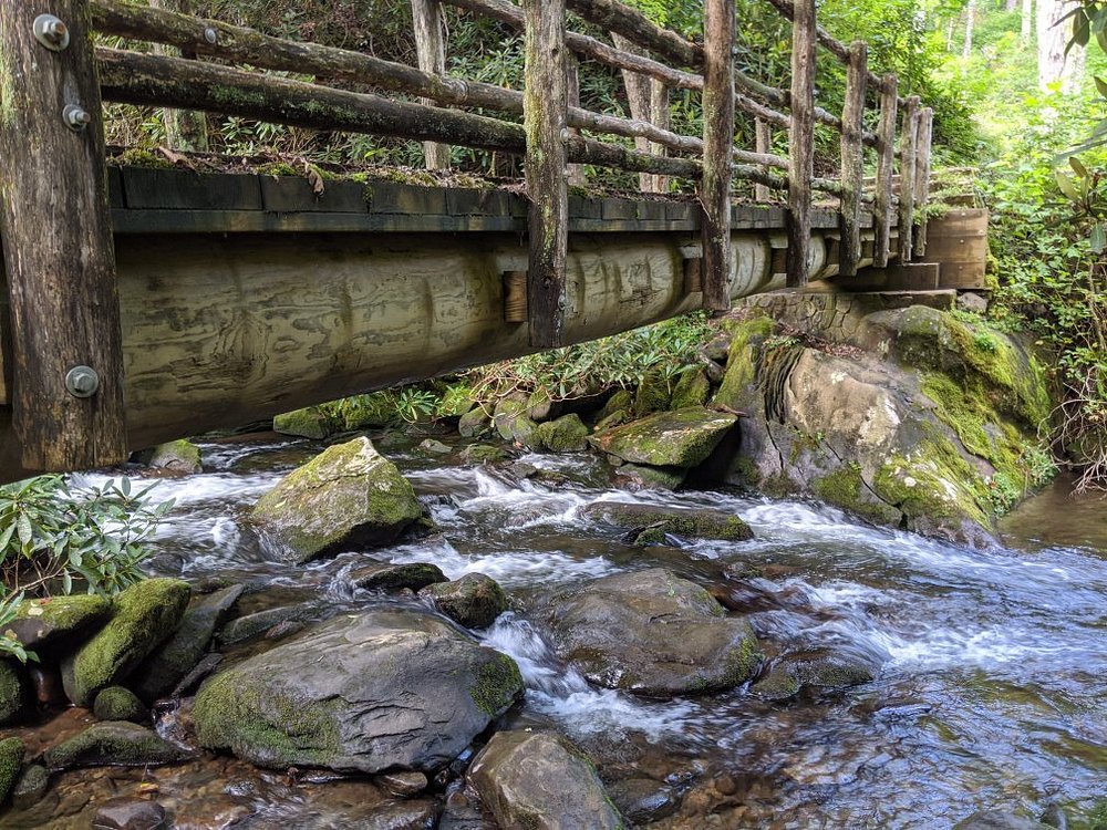 Joyce Kilmer Memorial Forest