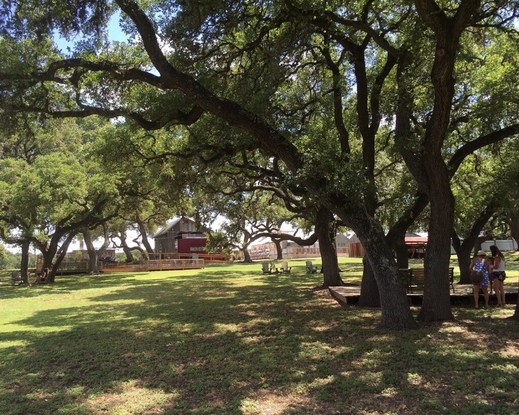 Wimberley Valley Winery