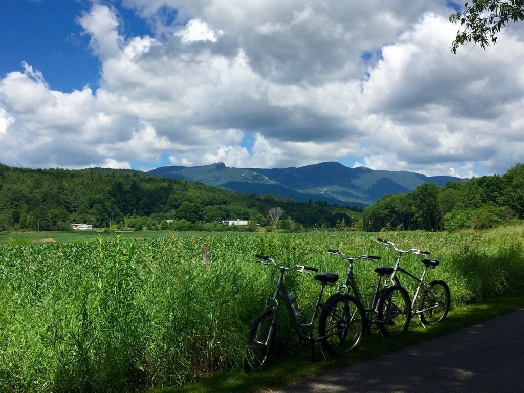 stowe recreation path view